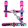 Dokitti Color Pop Cat Leash & Harness Set