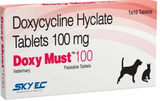 Skyec Doxy Must 100 mg Tablets