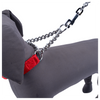 Kennel Premium Nylon Chain Martingale Collar