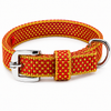 Kennel Nylon Dotzy Collar