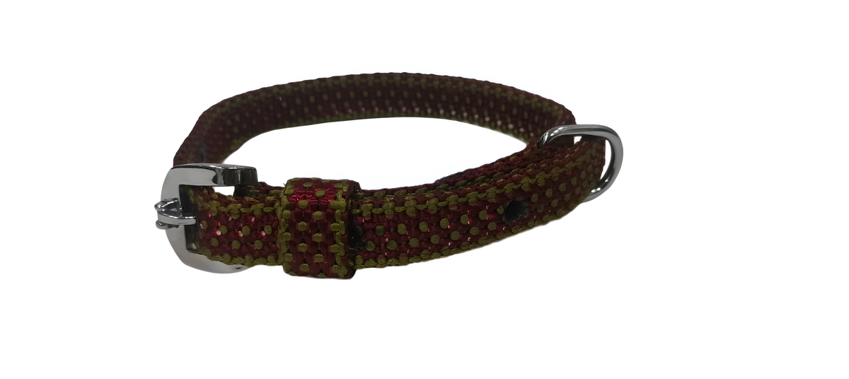 Kennel Nylon Dotzy Collar - 1/2 Inch