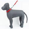 Kennel Nylon Chain Martingale Collar