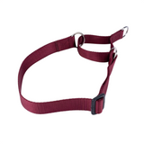 Kennel Nylon Martingale Collar (1