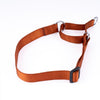Kennel Nylon Martingale Collar (1")