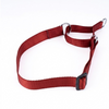 Kennel Nylon Martingale Collar (1")