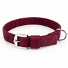 Kennel Nylon Collar