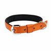 Kennel Padded Nylon Collar