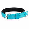 Kennel Padded Nylon Collar