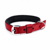 Kennel Padded Nylon Collar