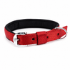 Kennel Padded Nylon Collar