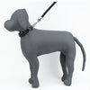Kennel Pattern Nylon Chain Martingale Collar