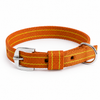 Kennel Nylon Pattern Collar