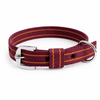 Kennel Nylon Pattern Collar