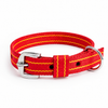 Kennel Nylon Pattern Collar