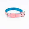 Kennel Soft Nylon Two Color Collar