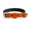 Kennel Foam Padded Nylon Collar