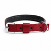 Kennel Foam Padded Nylon Collar