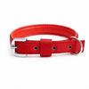 Kennel Foam Padded Nylon Collar