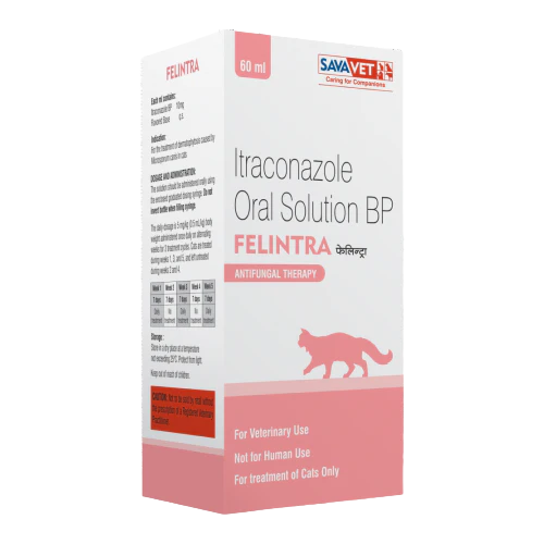 Savavet Felintra – Itraconazole Oral Solution BP