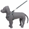 Kennel Green Bones Printed Padded Click Lock Adjustable Harness