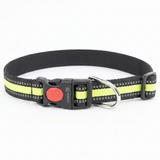 Kennel Reflective Collar