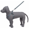 Kennel Printed Click Lock Adjustable Harness