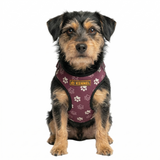 Kennel Purple Paws Print Step In Harness