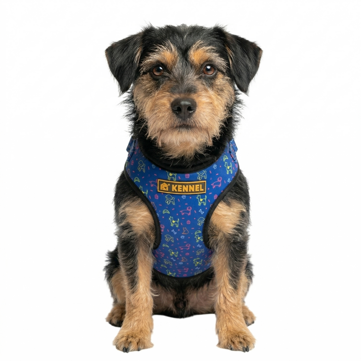 Kennel Blue Bash Print Step In Harness