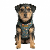 Kennel Green Bones Printed Step In Harness