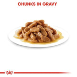 Royal Canin Medium Puppy Gravy Salsa 140g Pouch - Pack Of 10