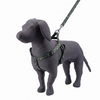 Kennel Green Bones Printed Padded Click Lock Adjustable Harness