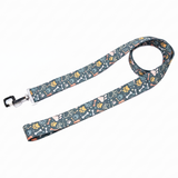 Green Bones Print Nylon Dog Leash by Kennel