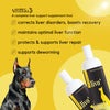 Venttura Livo+ Liver Support & Detoxification Supplement for Dogs