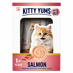 Kitty Yums Salmon Premium Mousse For Cat Buy 5 Get 1 Free Pouch