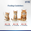 Kitty Yums Salmon Premium Mousse For Cat Buy 5 Get 1 Free Pouch