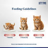 Kitty Yums Salmon Premium Mousse For Kitten Buy 5 Get 1 Free Pouch
