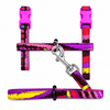 Dokitti Color Pop Cat Leash & Harness Set