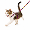 Dokitti Color Pop Cat Leash & Harness Set
