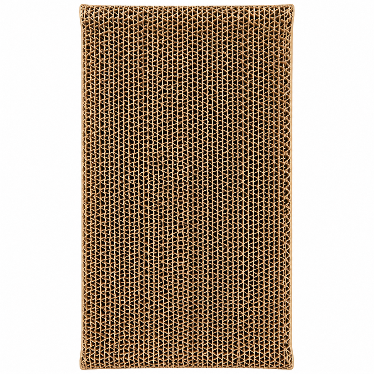 Dokitti Croc Crest Cat Scratcher
