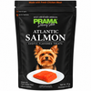 Prama Delicacy Snack Atlantic Salmon Dog Treat