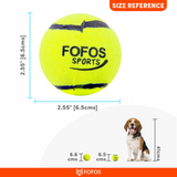 Fofos Sports Throw Fetch Ball Dog Toy Set