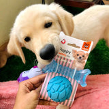 Fofos Milk Bone & Ball Puppy Teething Dog Toy Set