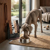Venttura Turkey & Duck Junior All Breeds Dog Food