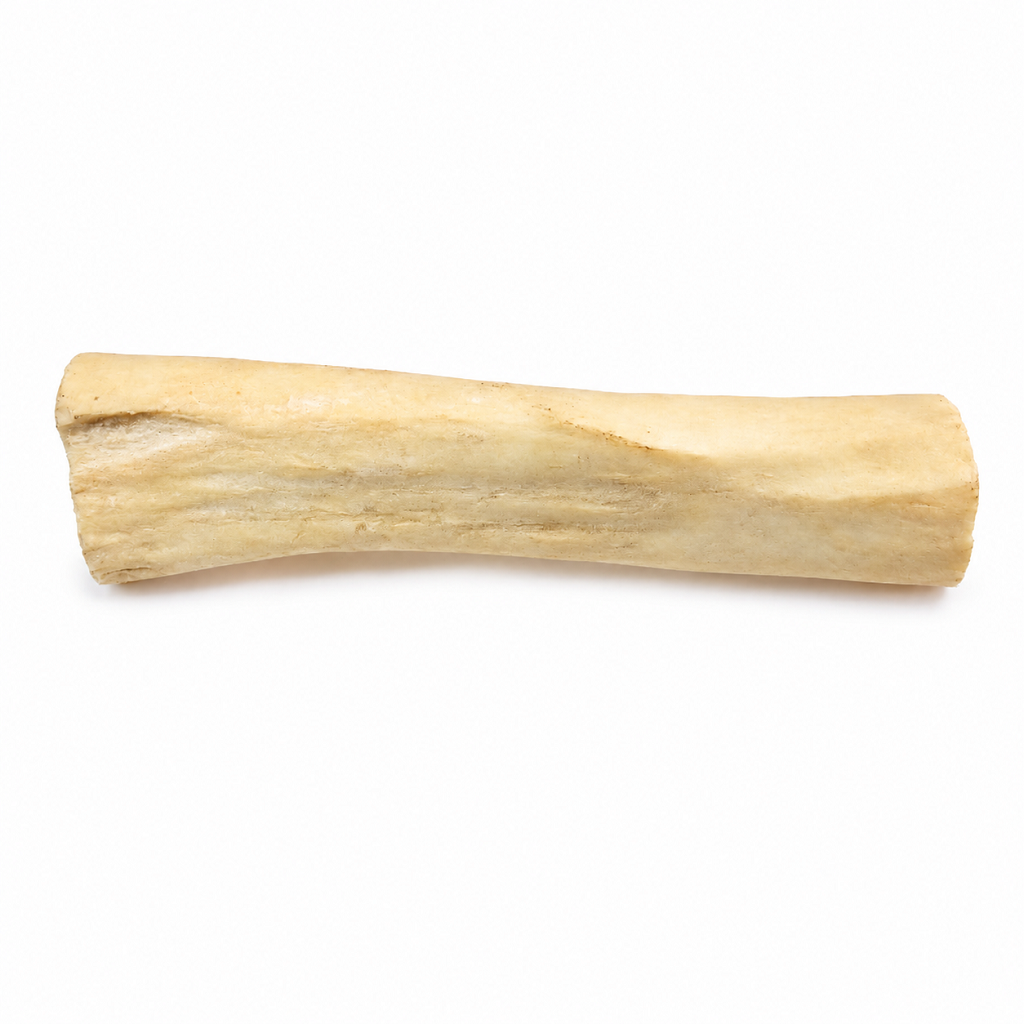 Kennel Real Bone