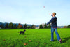 Chuckit Sport 14 S Ball Launcher Dog Toy