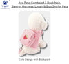 A+a Pets 3 In 1 Harness Set For Dogs & Cats With Leash & Bag