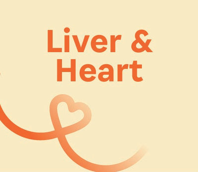 Dog-Liver & Heart