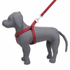 Kennel Foam Padded Soft Nylon Adjustable Harness ( 1 1/4")