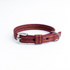 Kennel Nylon Pattern Collar