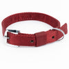 Kennel Premium Nylon Collar